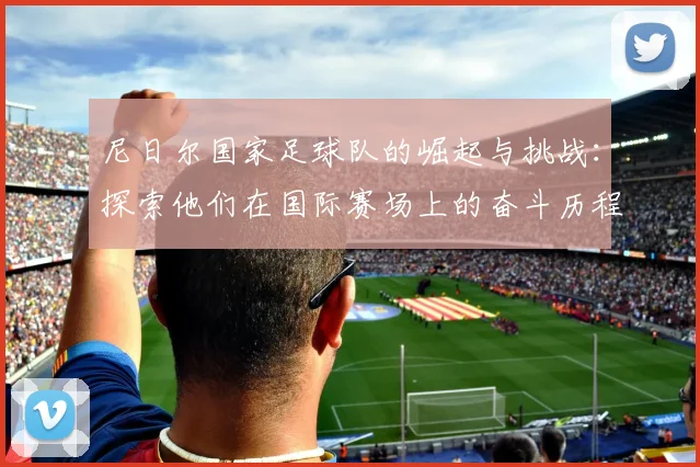 尼日尔国家足球队的崛起与挑战：探索他们在国际赛场上的奋斗历程与未来展望