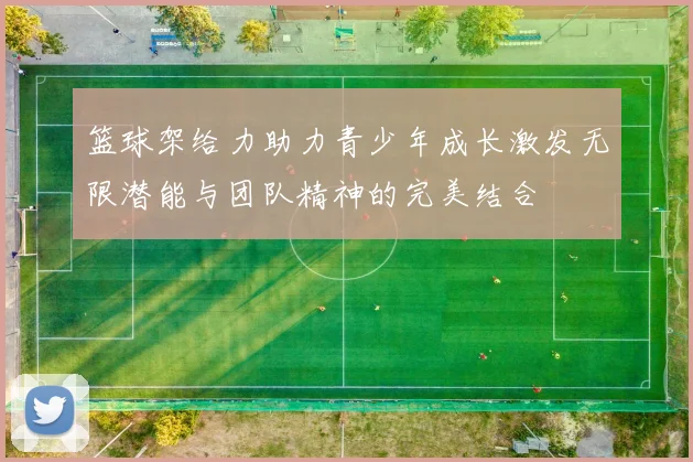 篮球架给力助力青少年成长激发无限潜能与团队精神的完美结合