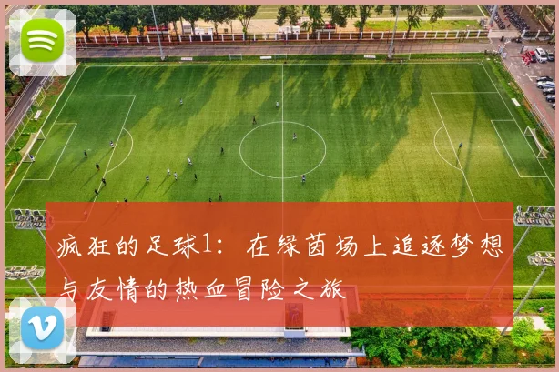 疯狂的足球1：在绿茵场上追逐梦想与友情的热血冒险之旅